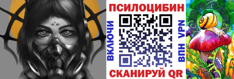 Псилоцибиновые грибы Cubensis купить закладку Ангарск